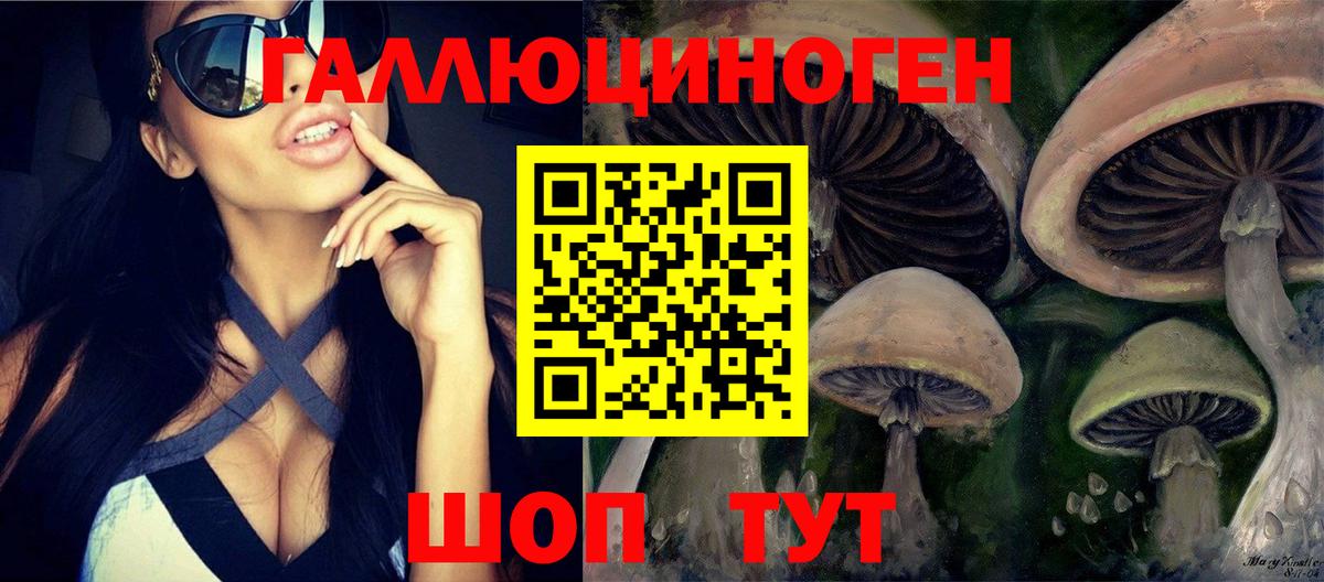 Боровичи  хочу   Вход с VPN  Галлюциногенные грибы мухоморы 