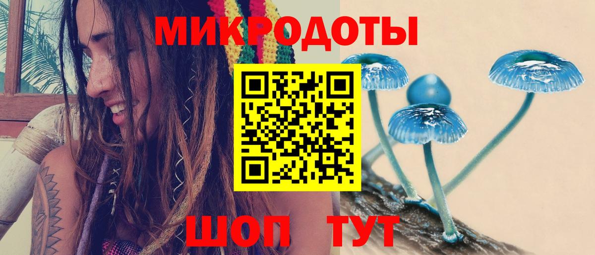 Псилоцибиновые грибы Magic Shrooms Боровичи